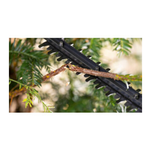 Bosch Akku-Heckenschere EasyHedgeCut 18V-44-11