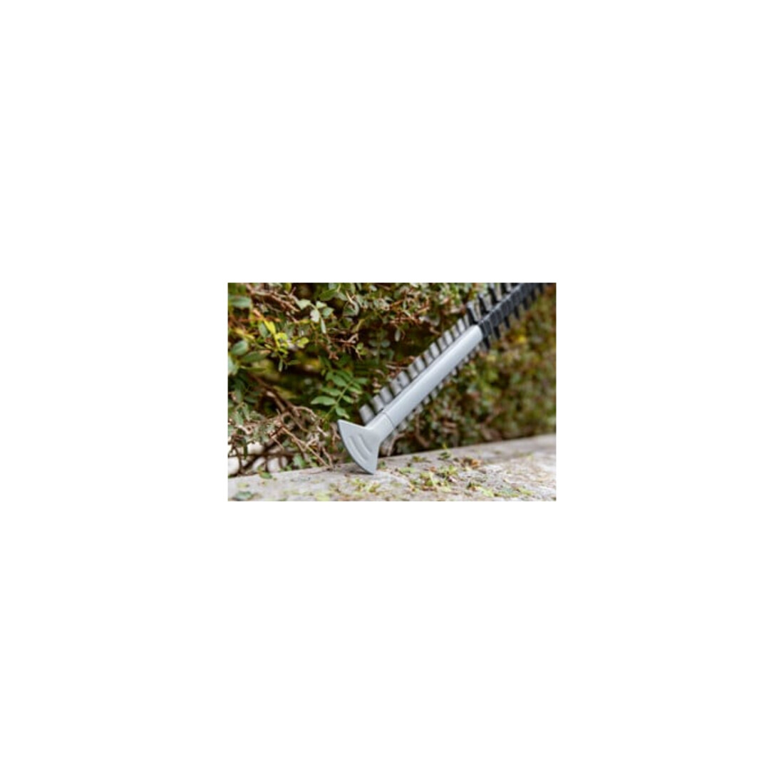 Bosch Akku-Heckenschere GHE 18V-50 (solo, C)
