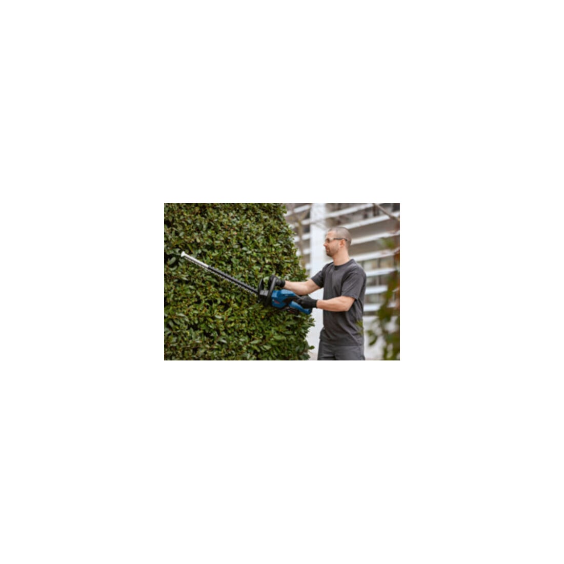 Bosch Akku-Heckenschere GHE 18V-60 (solo, C)
