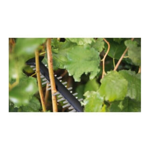 Bosch Akku-Heckenschere UniversalHedgeCut 18V-55, 1 x Akku PBA 18V 2.5Ah
