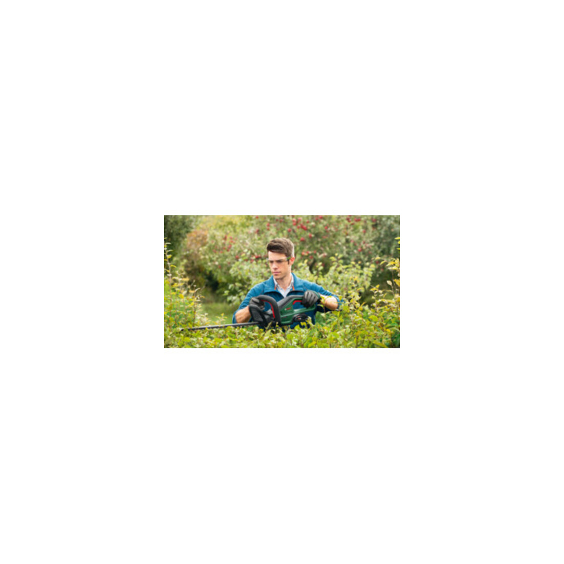 Bosch Akku-Heckenschere UniversalHedgeCut 18V-55
