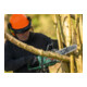 Bosch Akku-Kettensäge PKE18V-30-28, 1x Akku PBA 18V 4.0Ah-5