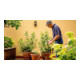 Bosch Akku-Regenwasserpumpen GardenPump 18, Solo Version, Schlauch 2,5 m