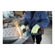 Bosch Akku Starter-Set: 2 x ProCORE 18 Volt 8,0 Ah und GAL 1880 CV