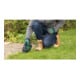 Bosch Akku-Strauch- und -Grasscheren-Set AdvancedShear 18V-10, Solo