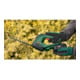 Bosch Akku-Strauch- und -Grasscheren-Set AdvancedShear 18V-10, Solo