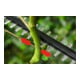 Bosch Akku-Teleskop-Heckenschere UniversalHedgePole 18 mit 1 x PBA 18V 2,5 Ah Akku