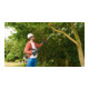 Bosch Akku-Teleskop-Hochentaster UniversalChainPole 18-5