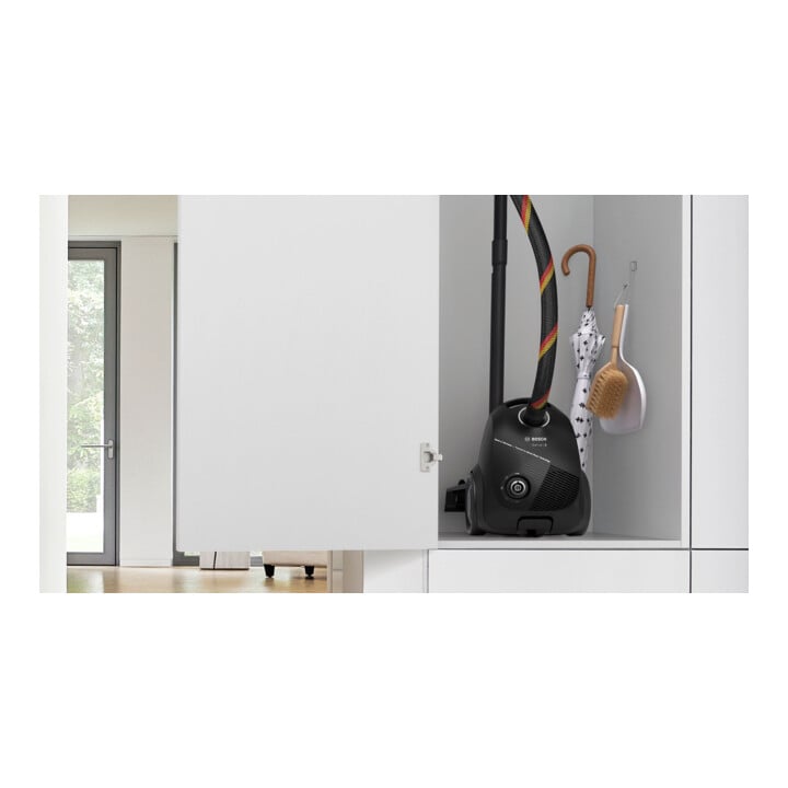 Bosch Aspirateur traîneau Serie2 BGDS2CHAMP noir