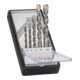 Bosch betonboor Robustline CYL-3 Silver Percussion 5-delig 4 - 10 mm-1