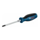 Bosch Cacciavite SL 5,5x100mm-2