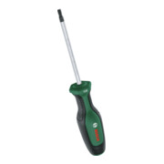 Bosch Cacciavite TX TX25 x 100 mm-1