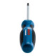 Bosch Cacciavite TX20X100-2