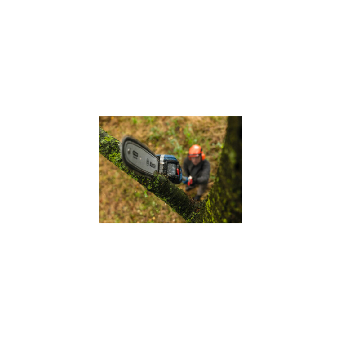 Bosch Chaîne de tronçonneuse 25 cm 1,1 mm Professional