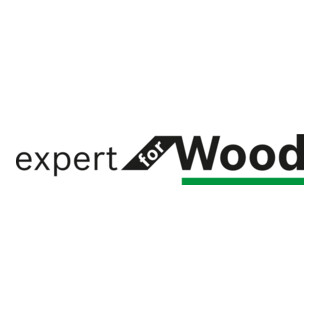 Bosch cirkelzaagblad Expert Wood voor inval- en handcirkelzagen