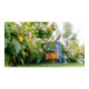 Bosch Coupe-bordures EasyGrassCut 26
