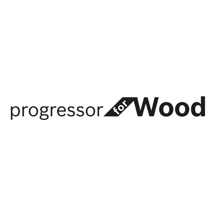 Bosch decoupeerzaagblad T 234 X, Progressor for Wood