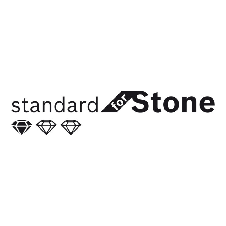 Bosch Diamanttrennscheibe Standard for Stone 300 x 22,23 x 3,1 x 10 mm