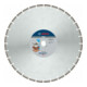 Bosch diamantzaagblad Standard for Universal 450 x 25,4 x 3,6 x 10 mm-1