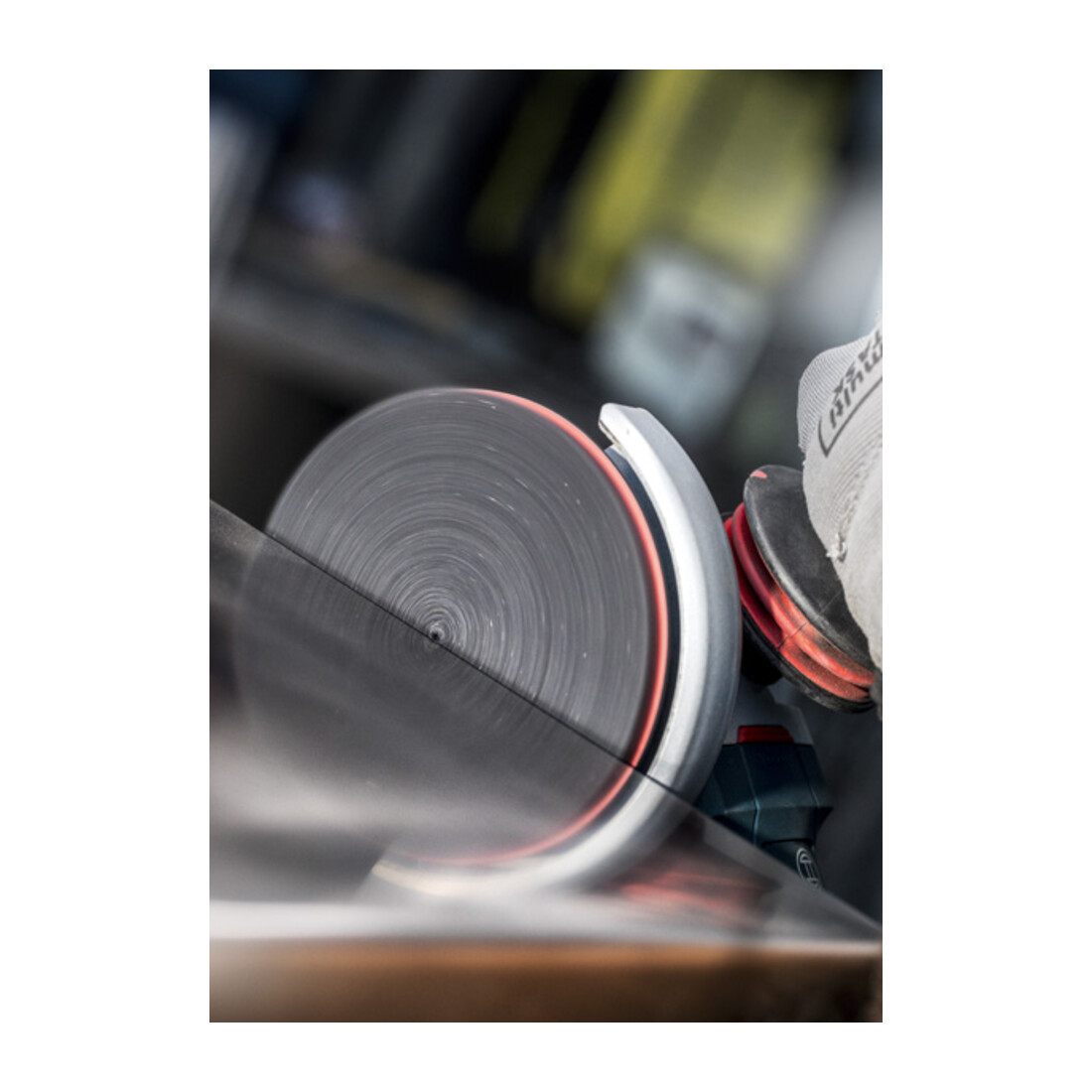 Bosch Disco in feltro EXPERT N880 per levigatrice rotorbitale, 150mm, medio A