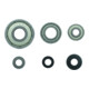 Bosch drukkogellagerset Expert for Wood