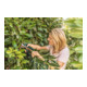 Bosch EasyPrune snoerloze tuinschaar