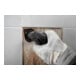 Bosch Expert 3 max AVZ 70 RT4 plaque de démontage des joints pour outils multifonctions, 70 mm