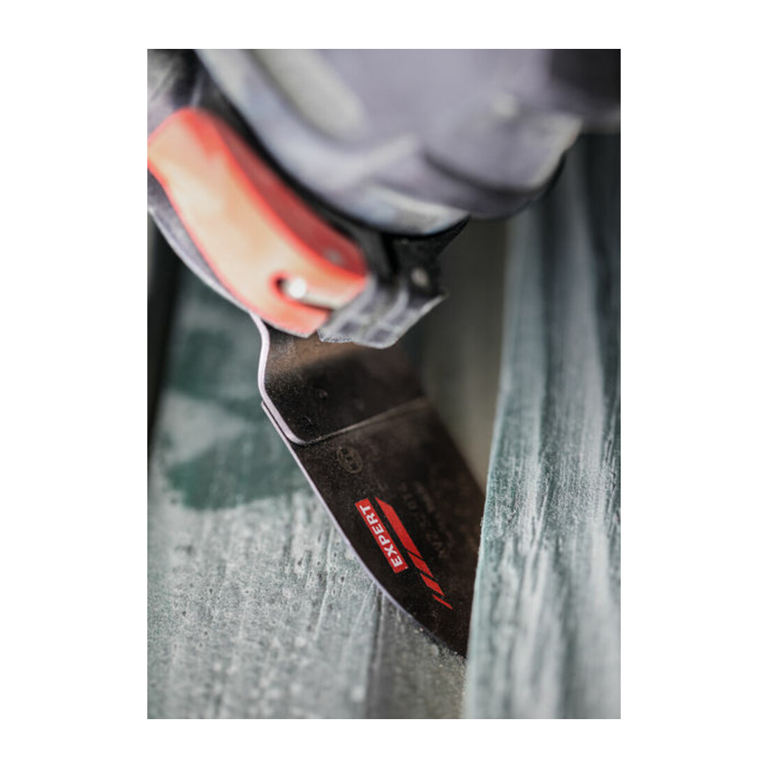 Bosch EXPERT AVZ 32 RT4 Punta abrasiva, 32 x 53 mm