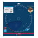 Bosch EXPERT Cirkelzaagblad hout, 254x25,4 mm, Z40-2