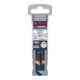 Bosch EXPERT Forstner bois, 10 mm, Ø8 mm