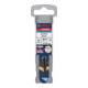 Bosch EXPERT Forstner bois, 12 mm, D8 mm