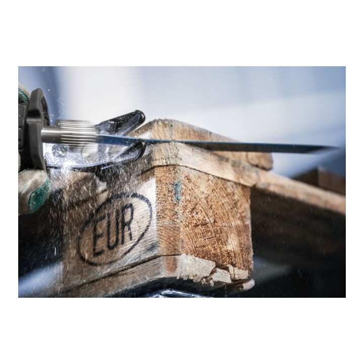 Bosch EXPERT Hard Nail Pallets S1123CHM Säbelsägeblatt, 10-tlg.