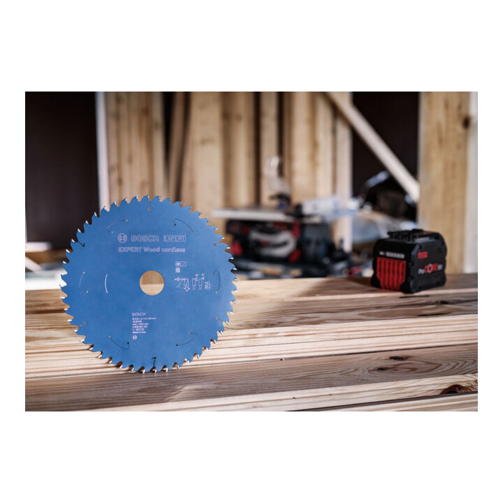 Bosch EXPERT Houtcirkelzaagblad, 210x30 mm, Z48