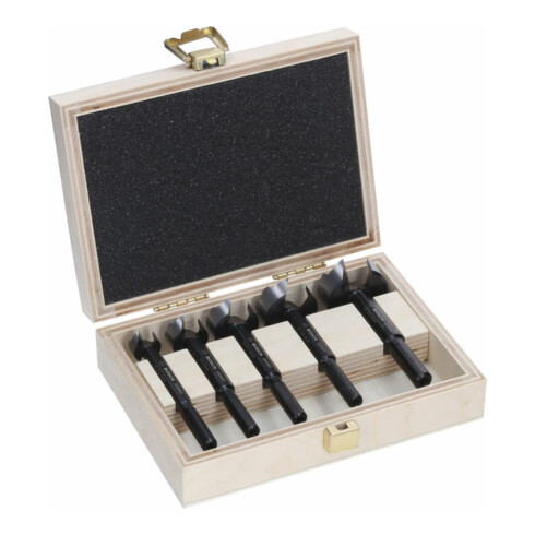 Bosch EXPERT Jeu de forets Forstner pour bois, 5 pcs