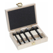 Bosch EXPERT Jeu de forets Forstner pour bois, 5 pcs