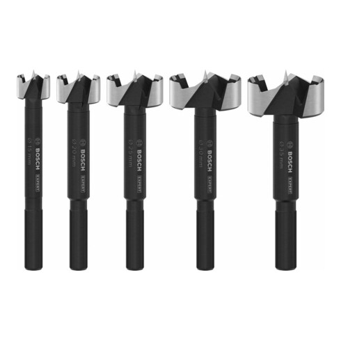 Bosch EXPERT Jeu de forets Forstner pour bois, 5 pcs