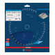 Bosch EXPERT Lama per sega circolare in acciaio, 210x30 mm, Z36-2