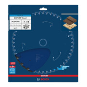 Bosch EXPERT Lama per sega circolare legno, 254x25,4 mm, Z24-2