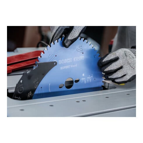 Bosch EXPERT Lama per sega circolare legno, 254x25,4 mm, Z24