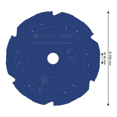 Bosch EXPERT Lama per sega circolare per cemento fibrocemento, 250x2,2x30 mm, Z6