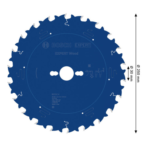 Bosch EXPERT Lame de scie circulaire pour bois, 250x30 mm, Z22