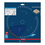 Bosch EXPERT Laminated Panel Kreissägeblatt, 250x30 mm, Z48-2