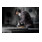 Bosch EXPERT N477 SCM Scheibe-3