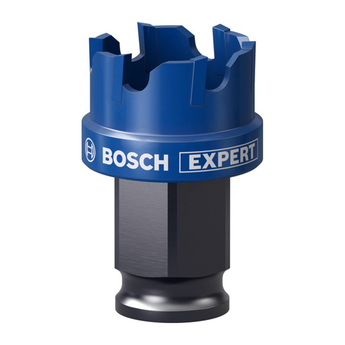 Bosch EXPERT Sheet Metal Lochsäge
