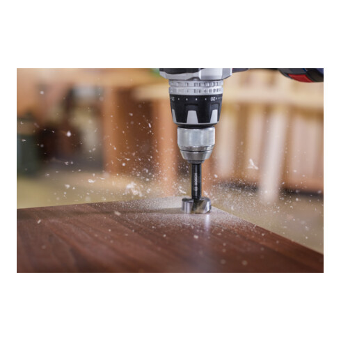 Bosch EXPERT Wood Forstnerbohrer, 20 mm, D8 mm