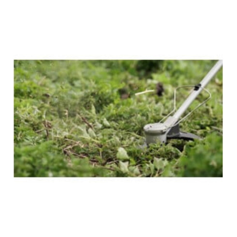 Bosch Freischneider AdvancedBrushCut 36V-23-750