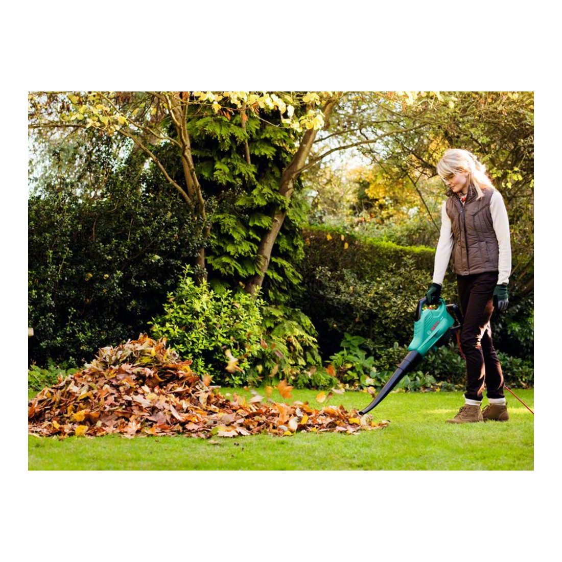 Bosch Gartensauger ALS 25