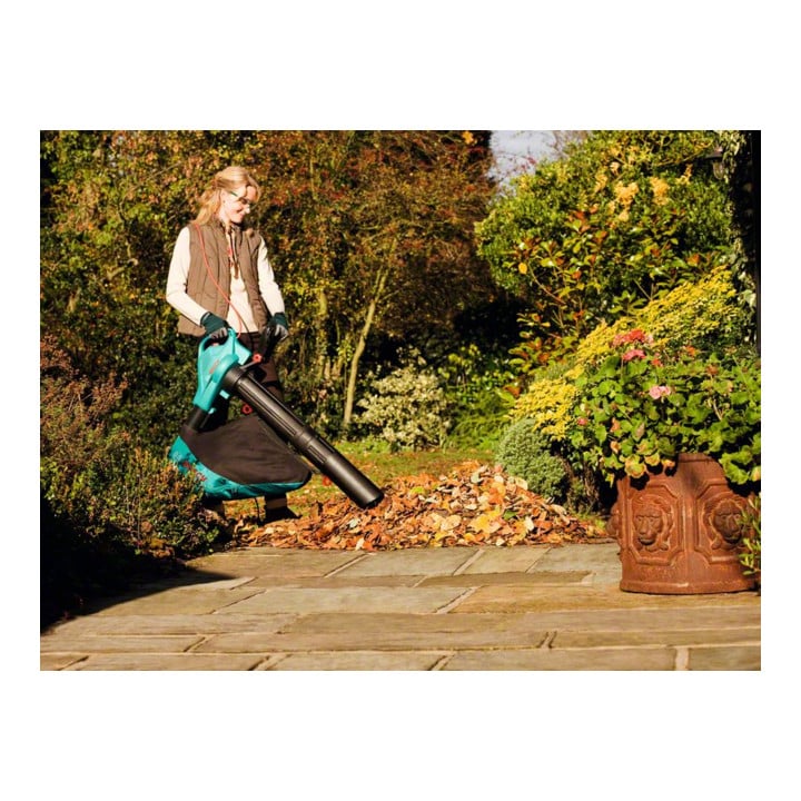 Bosch Gartensauger ALS 25