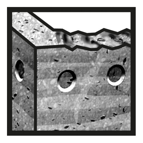 Bosch Hammerbohrer  plus-3, 14x100x160mm