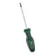 Bosch Handwerkzeuge Schraubendreher TX TX15 x 100 mm